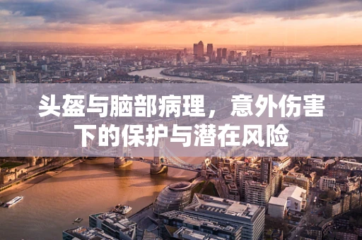 头盔与脑部病理，意外伤害下的保护与潜在风险