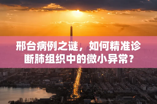 邢台病例之谜，如何精准诊断肺组织中的微小异常？