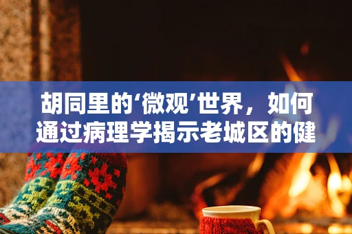胡同里的‘微观’世界，如何通过病理学揭示老城区的健康密码？