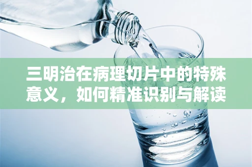 三明治在病理切片中的特殊意义，如何精准识别与解读？