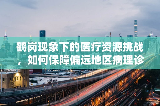 鹤岗现象下的医疗资源挑战，如何保障偏远地区病理诊断的准确性？