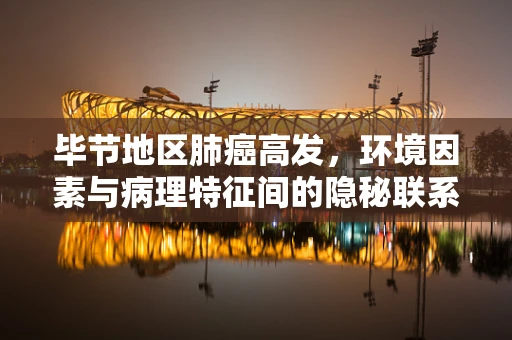 毕节地区肺癌高发，环境因素与病理特征间的隐秘联系