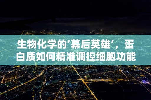 生物化学的‘幕后英雄’，蛋白质如何精准调控细胞功能？