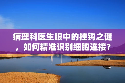 病理科医生眼中的挂钩之谜，如何精准识别细胞连接？