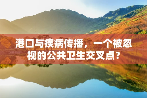 港口与疾病传播，一个被忽视的公共卫生交叉点？