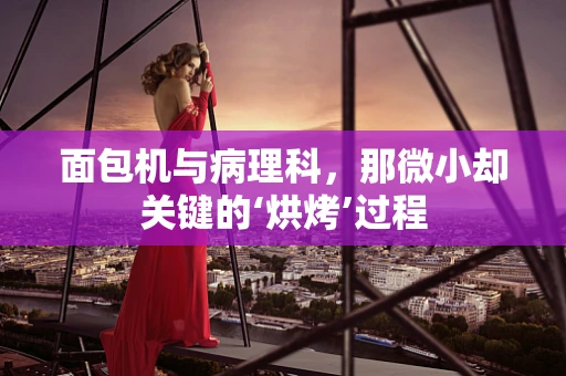面包机与病理科，那微小却关键的‘烘烤’过程