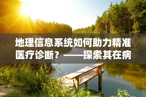 地理信息系统如何助力精准医疗诊断？——探索其在病理科的应用