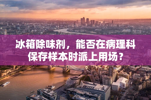 冰箱除味剂，能否在病理科保存样本时派上用场？