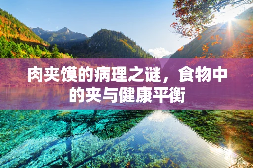 肉夹馍的病理之谜，食物中的夹与健康平衡