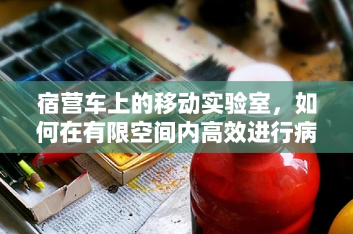 宿营车上的移动实验室，如何在有限空间内高效进行病理检测？