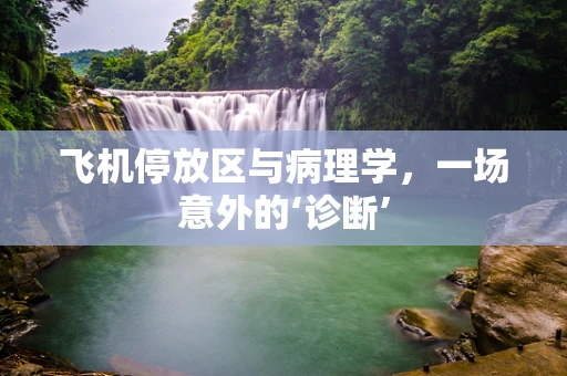 飞机停放区与病理学，一场意外的‘诊断’