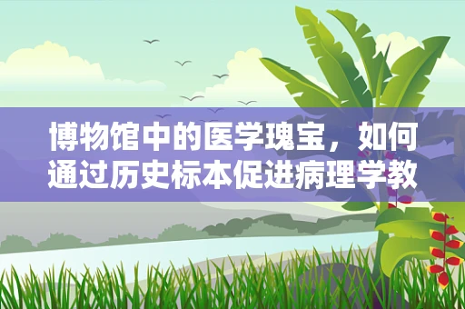 博物馆中的医学瑰宝，如何通过历史标本促进病理学教育？