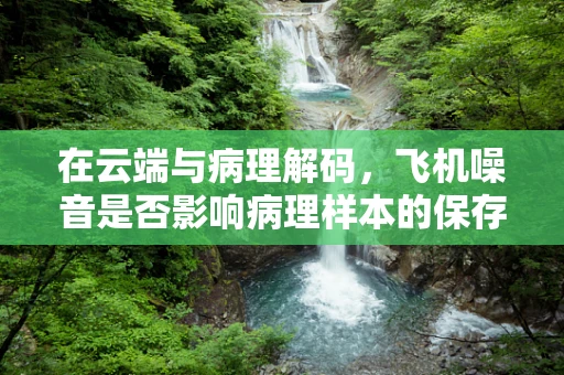 在云端与病理解码，飞机噪音是否影响病理样本的保存？