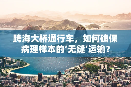 跨海大桥通行车，如何确保病理样本的‘无缝’运输？