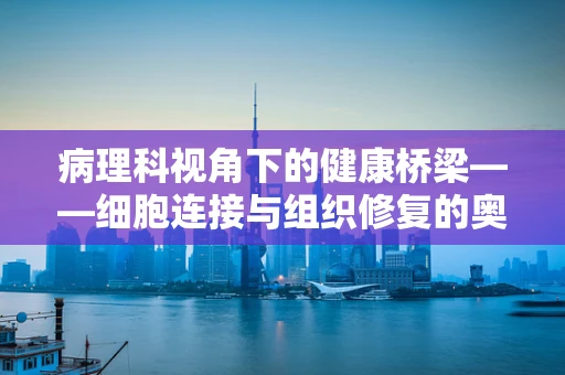 病理科视角下的健康桥梁——细胞连接与组织修复的奥秘