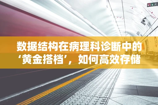 数据结构在病理科诊断中的‘黄金搭档’，如何高效存储与检索海量病理图像？