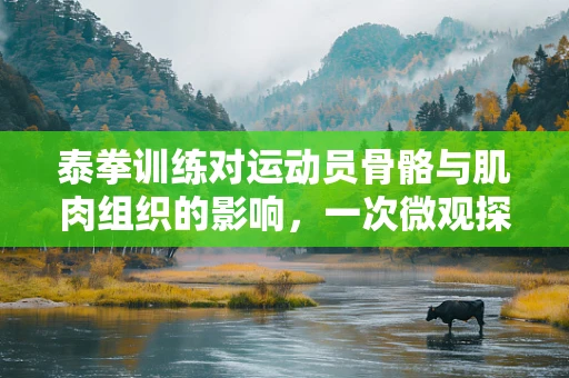 泰拳训练对运动员骨骼与肌肉组织的影响，一次微观探索