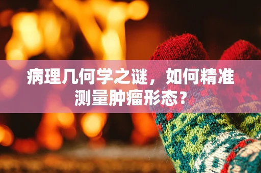 病理几何学之谜，如何精准测量肿瘤形态？