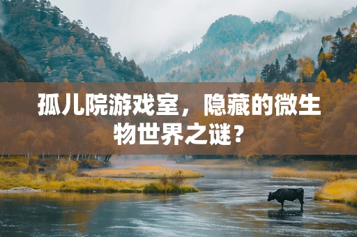 孤儿院游戏室，隐藏的微生物世界之谜？