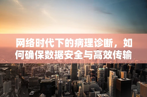 网络时代下的病理诊断，如何确保数据安全与高效传输？