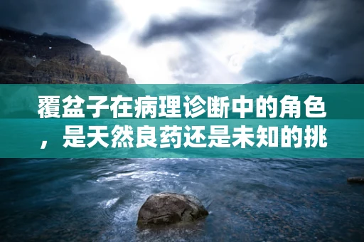 覆盆子在病理诊断中的角色，是天然良药还是未知的挑战？