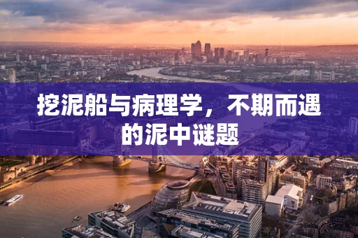 挖泥船与病理学，不期而遇的泥中谜题