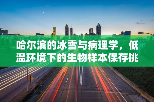 哈尔滨的冰雪与病理学，低温环境下的生物样本保存挑战