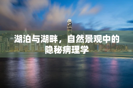 湖泊与湖畔，自然景观中的隐秘病理学
