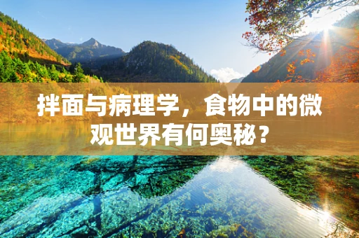 拌面与病理学，食物中的微观世界有何奥秘？