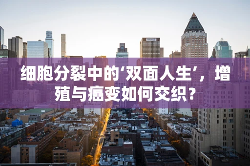 细胞分裂中的‘双面人生’，增殖与癌变如何交织？