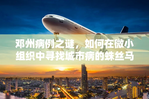 邓州病例之谜，如何在微小组织中寻找城市病的蛛丝马迹？