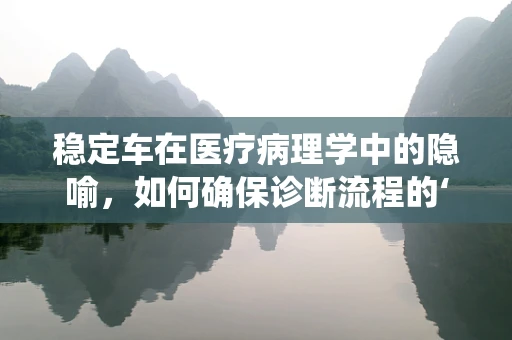 稳定车在医疗病理学中的隐喻，如何确保诊断流程的‘刹车系统’？