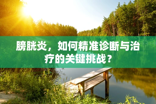 膀胱炎，如何精准诊断与治疗的关键挑战？
