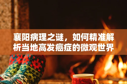 襄阳病理之谜，如何精准解析当地高发癌症的微观世界？
