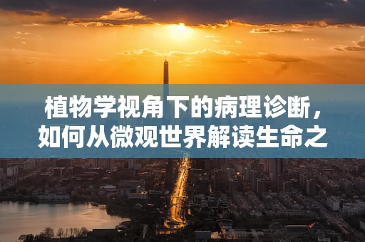 植物学视角下的病理诊断，如何从微观世界解读生命之树？