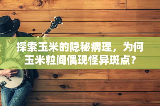 探索玉米的隐秘病理，为何玉米粒间偶现怪异斑点？