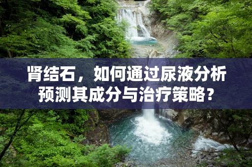 肾结石，如何通过尿液分析预测其成分与治疗策略？