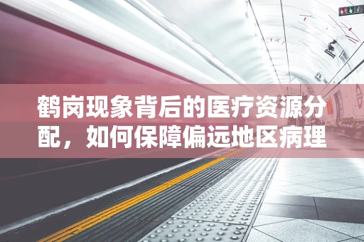 鹤岗现象背后的医疗资源分配，如何保障偏远地区病理诊断的准确性？