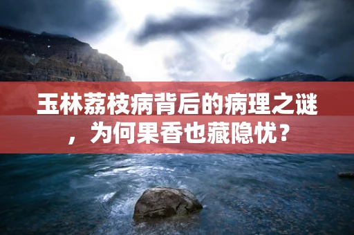 玉林荔枝病背后的病理之谜，为何果香也藏隐忧？