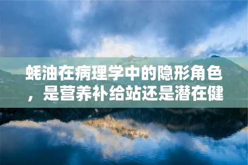 蚝油在病理学中的隐形角色，是营养补给站还是潜在健康威胁？