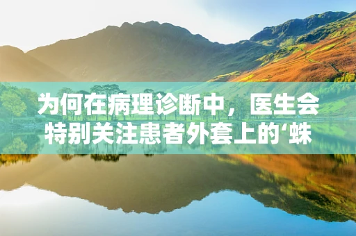 为何在病理诊断中，医生会特别关注患者外套上的‘蛛丝马迹’？