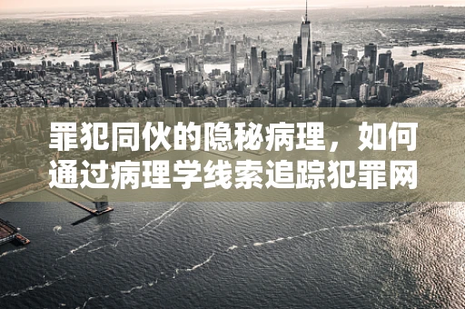 罪犯同伙的隐秘病理，如何通过病理学线索追踪犯罪网络？