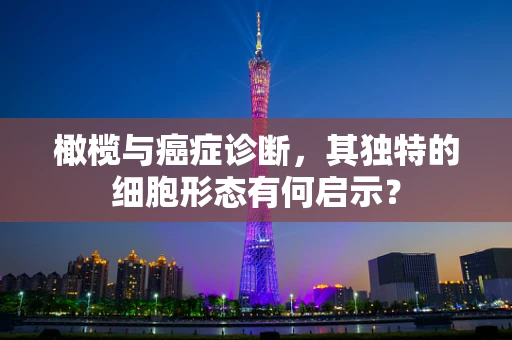 橄榄与癌症诊断，其独特的细胞形态有何启示？