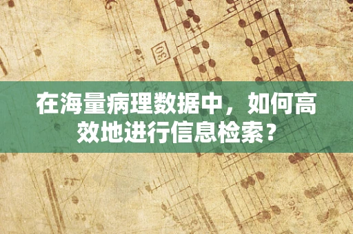 在海量病理数据中，如何高效地进行信息检索？