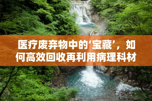 医疗废弃物中的‘宝藏’，如何高效回收再利用病理科材料？