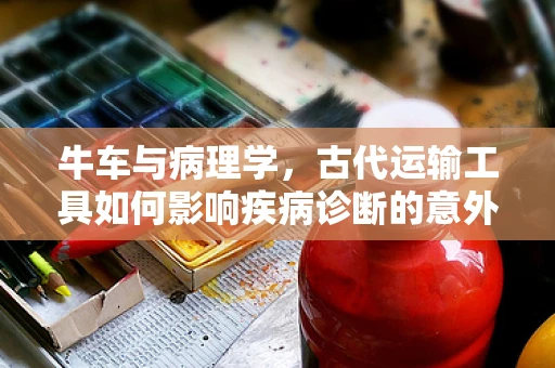 牛车与病理学，古代运输工具如何影响疾病诊断的意外启示？