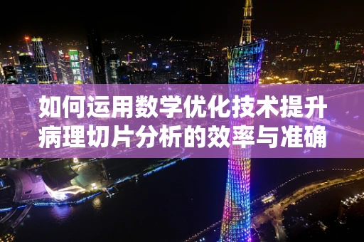 如何运用数学优化技术提升病理切片分析的效率与准确性？