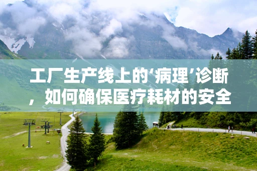 工厂生产线上的‘病理’诊断，如何确保医疗耗材的安全与质量？