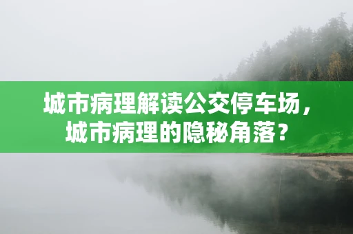 城市病理解读公交停车场，城市病理的隐秘角落？