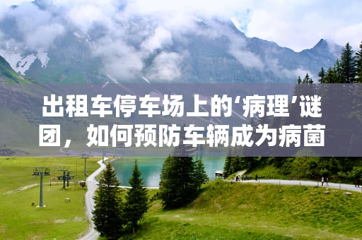 出租车停车场上的‘病理’谜团，如何预防车辆成为病菌传播的温床？